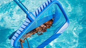 Why Is My Pool Losing Chlorine So Fast? 8 Why Is My Pool Losing Chlorine So Fast?