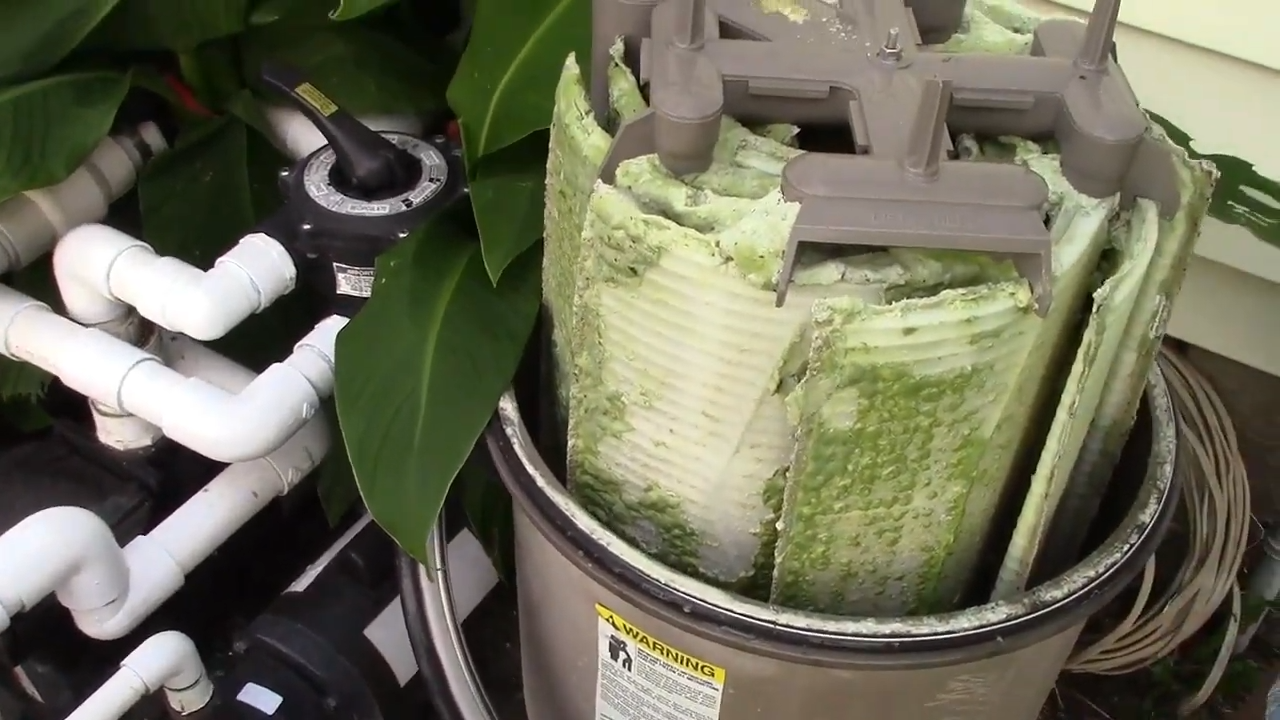 Signs Your Pool Filter Needs Cleaning 1 Signs Your Pool Filter Needs Cleaning
