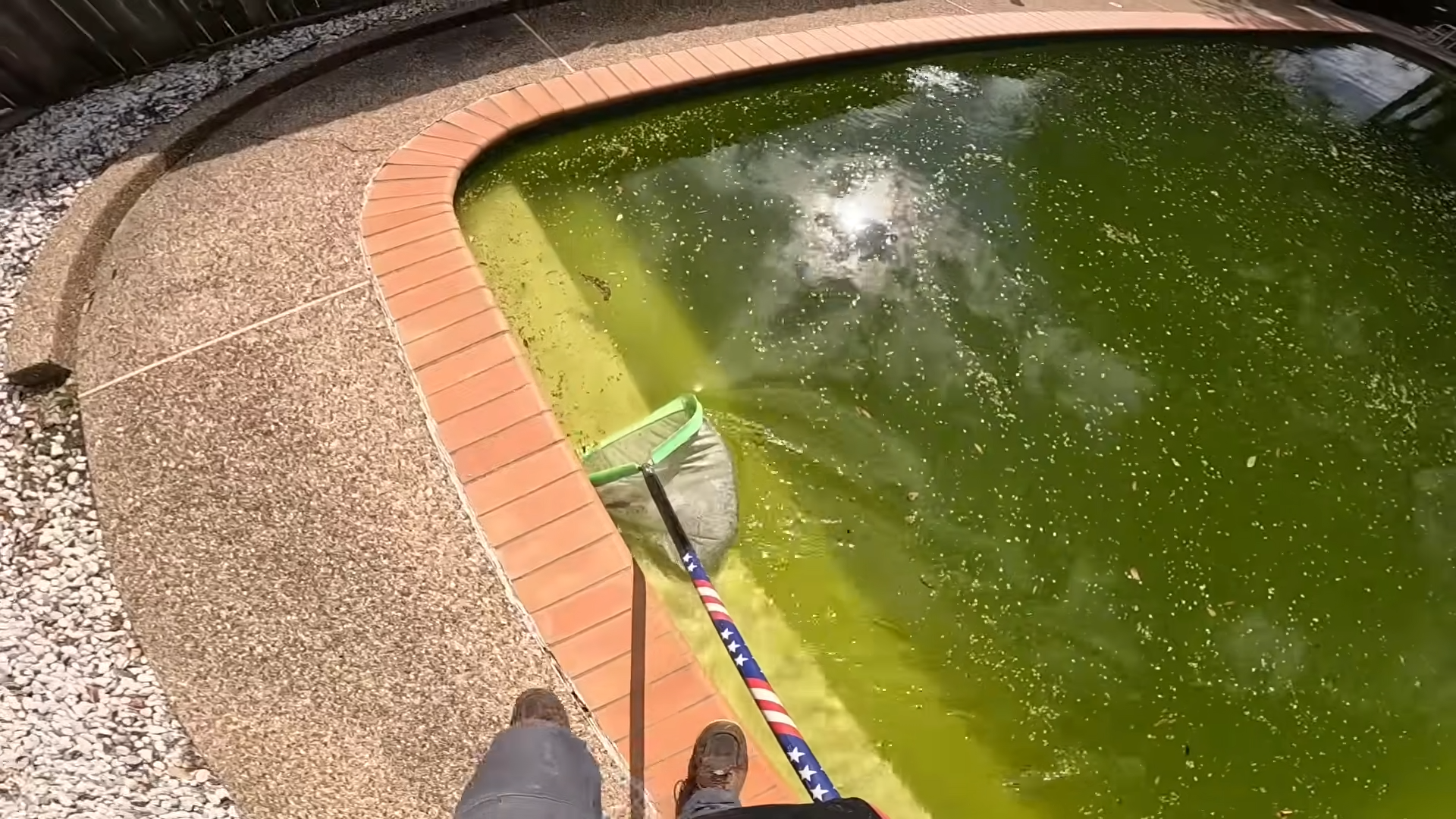 green to clean spring tx