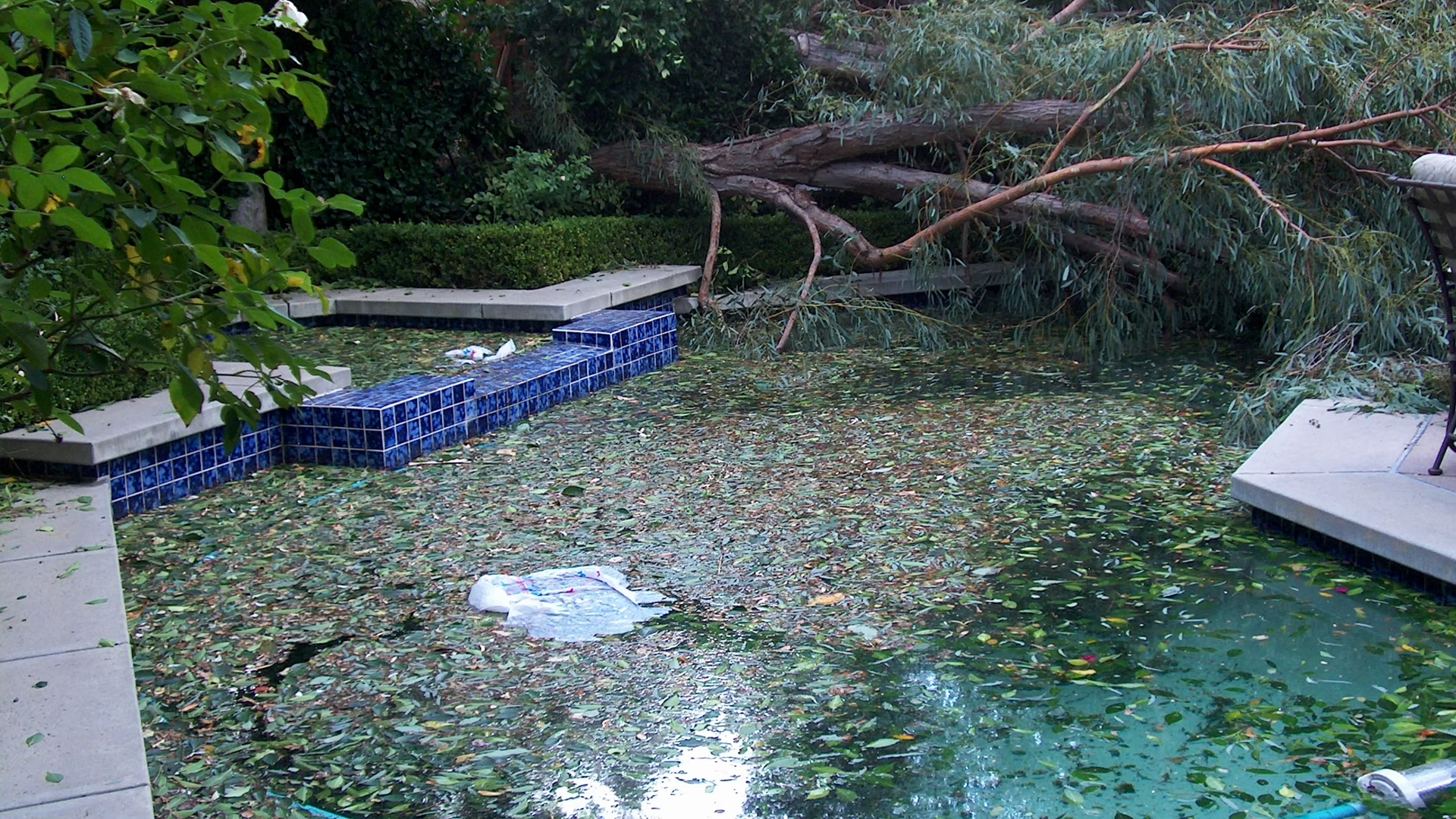 Pool Tile Repair 16 Storm Pool Cleanup