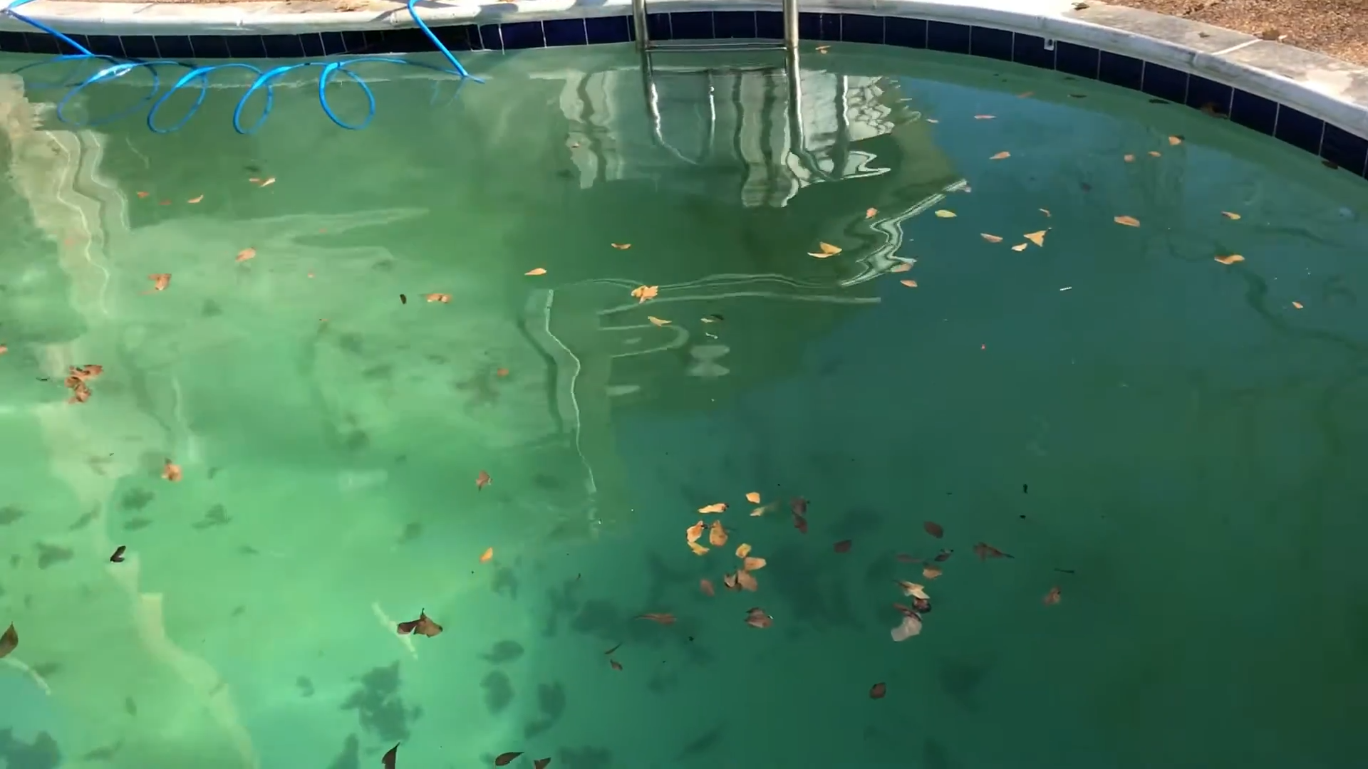 Urgent pool service and storm pool cleanup in Spring TX