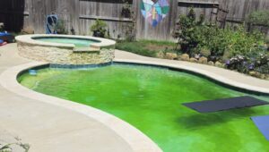 Why Is My Pool Turning Green After Heavy Rain in Spring TX? 7 Why Is My Pool Turning Green After Heavy Rain in Spring TX?
