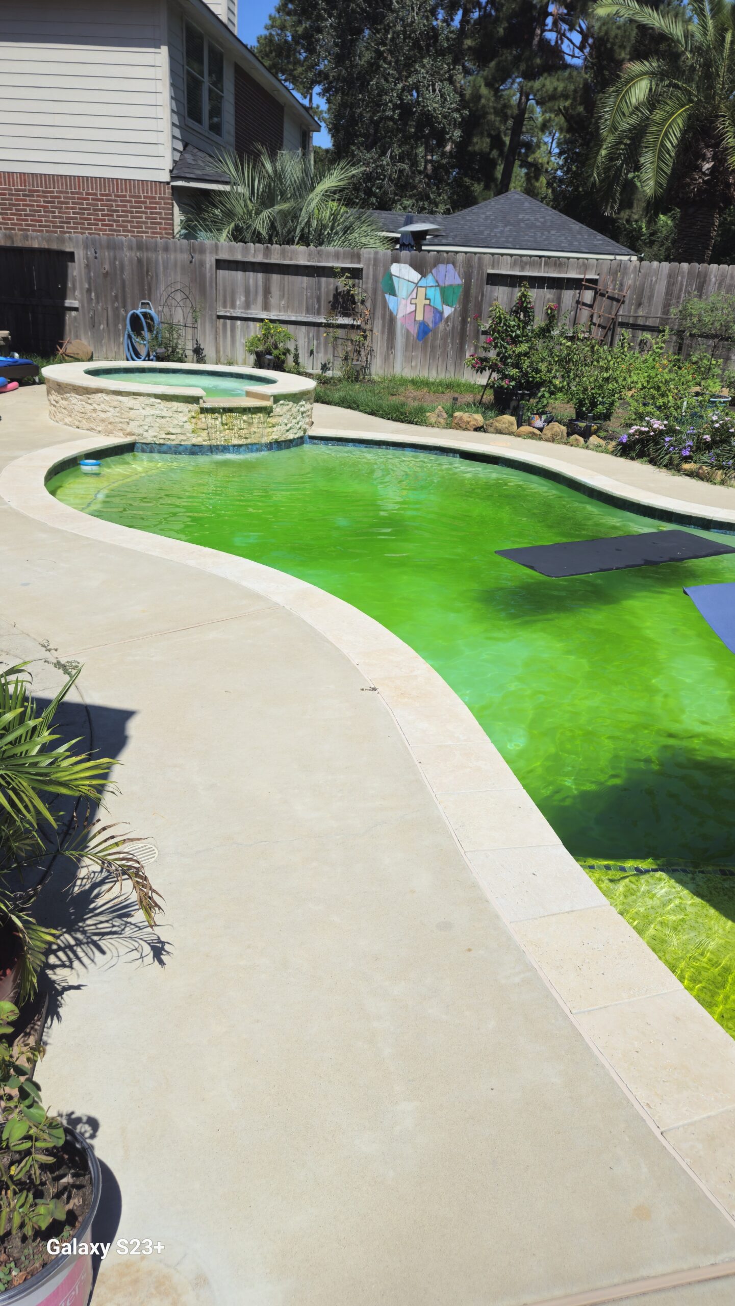 Green pool cleanup before and after Spring TX